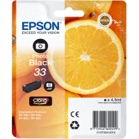 Epson 33 Photo Black Ink Cartridge Original Epson 33 Photo Black Ink Cartridge Original