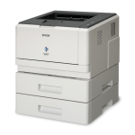 Epson Aculaser M2400DT