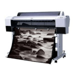 Epson Stylus Pro 9880