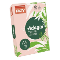 Rey A4 Pink Paper 80gsm 500 sheets Rey A4 Pink Paper 80gsm 500 sheets